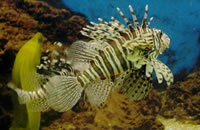 无死角防护的ddos网页端源码